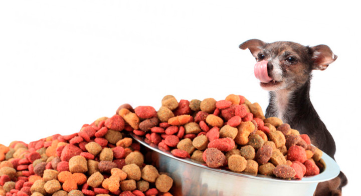 цена на большие пакеты собаки