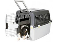 Клетка-переноска