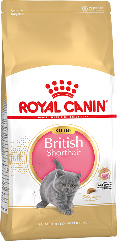 Корм Роял Канин для британских короткошерстных котят до 12 месяцев (Royal Canin British Shorthair Kitten)
