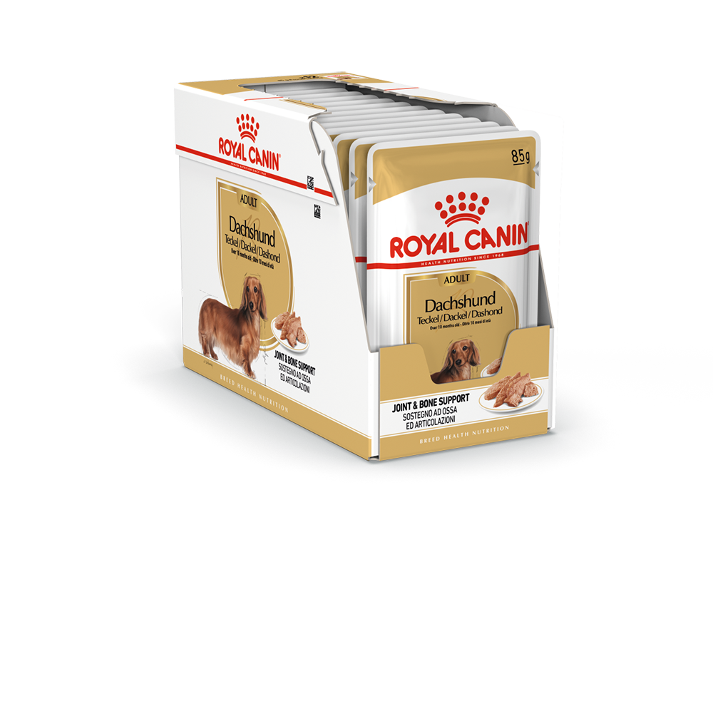 Влажный корм Роял Канин для Такс, паштет (Royal Canin Dachshund Adult)