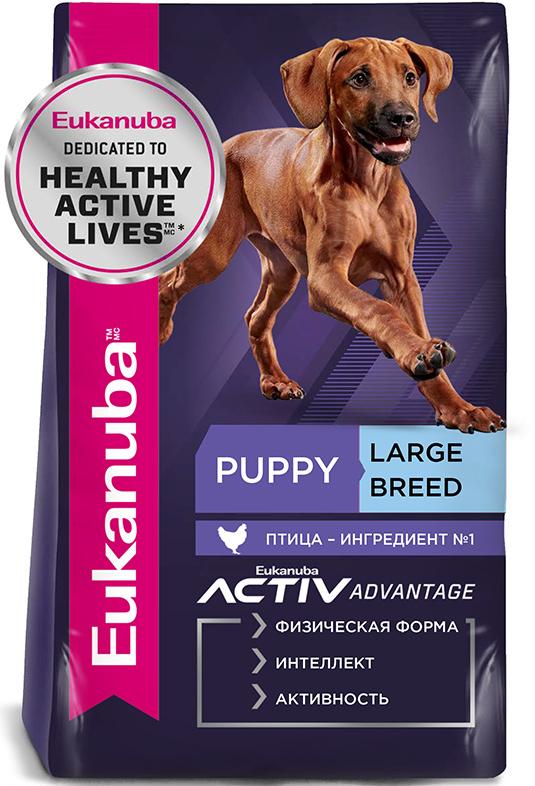 Сухой корм для щенков крупных пород от 1 до 15 мес. и очень крупных пород от 1 до 24 мес. Eukanuba Puppy Large Breed (Птица) - 3 кг