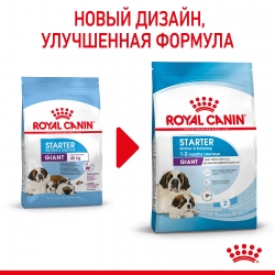 Корм для собак Royal Canin Giant Starter (для щенков до 2 месяцев) Image 1