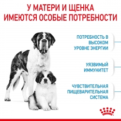 Корм для собак Royal Canin Giant Starter (для щенков до 2 месяцев) Image 2