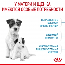 Корм для щенков Royal Canin Mini Starter (для щенков до 2 месяцев) Image 2
