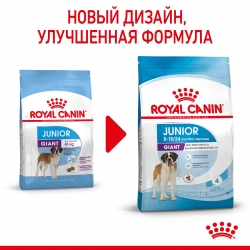 Корм для щенков Royal Canin Giant Junior (для щенков гигантских пород от 8 до 24 месяцев) Image 1