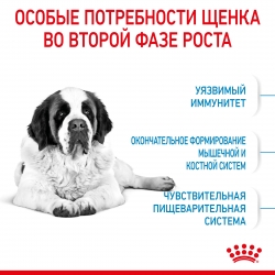 Корм для щенков Royal Canin Giant Junior (для щенков гигантских пород от 8 до 24 месяцев) Image 2