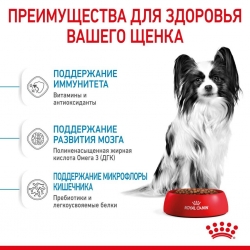 Корм для собак Royal Canin X-Small Puppy (для щенков от 2 до 10 месяцев миниатюрных размеров) Image 3