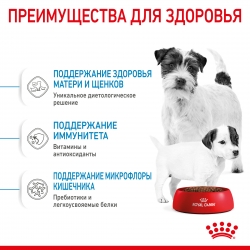 Корм для щенков Royal Canin Mini Starter (для щенков до 2 месяцев) Image 3