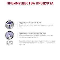 Корм для кошек Royal Canin NEUTERED MAINTANCE FELINE, 12*85 гр Image 2