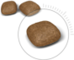 Корм Роял Канин для кошек профилактика мочекаменной болезни (Royal Canin Urinary Care) Image 2