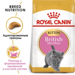Корм Роял Канин для британских короткошерстных котят до 12 месяцев (Royal Canin British Shorthair Kitten) Image 1