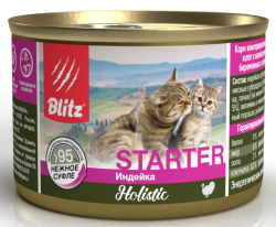 bsw10-1-00200-starter