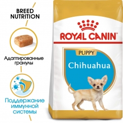 Корм для собак Royal Canin Chihuahua Puppy (Роял канин для чихуахуа, щенки) Image 1