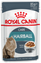 f_hairball-care-in-gravy.png