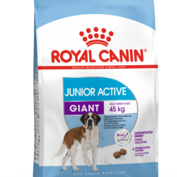 i_giant-junior-active-600x600