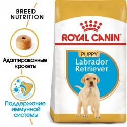 Корм для собак Royal Canin Labrador Retriever Puppy (Роял канин для лабрадора ретривера, щенки) Image 1