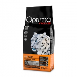 optima-nova-cat-salmon.jpg