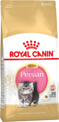 persiankitten