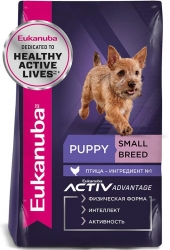 puppy-small-breed-chicken_1