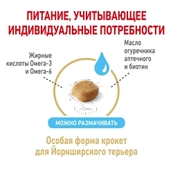 Корм Роял Канин для Йоршкширских терьеров старше 8 лет (Royal Canin Yorkshire Terrier 8+) Image 1