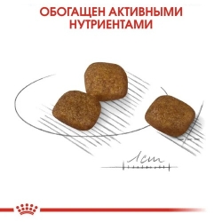 Корм для собак Royal Canin Mini Coat Care (для взрослых собак с тусклой и сухой шерстью) Image 2