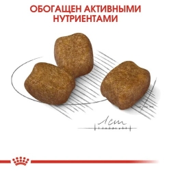 Корм для собак Royal Canin Mini Dental Care (для собак с повышенной чувствительностью зубов) Image 2
