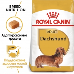 Корм для собак Royal Canin Dachshund Adult (Роял канин для такс, взрослые) Image 1