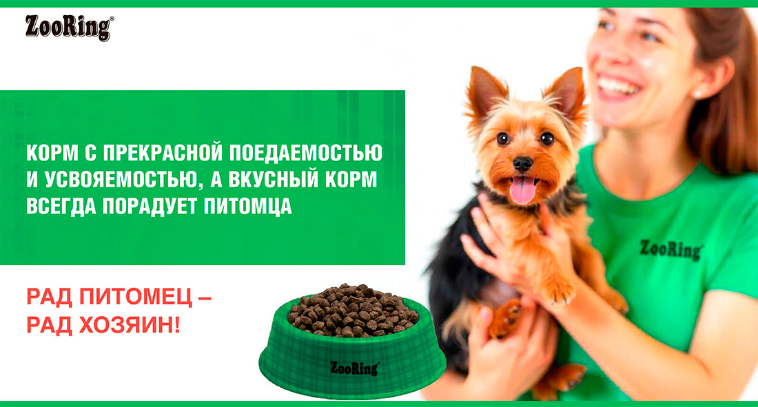 ZooRing Mini Dog