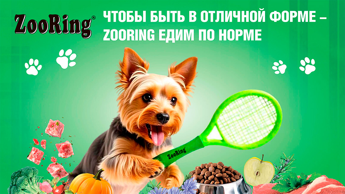 ZooRing Mini Adult Dog