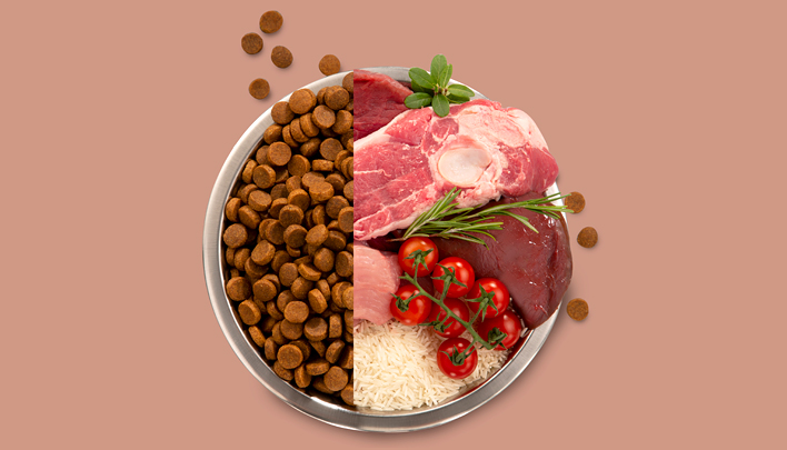 корм альфапет